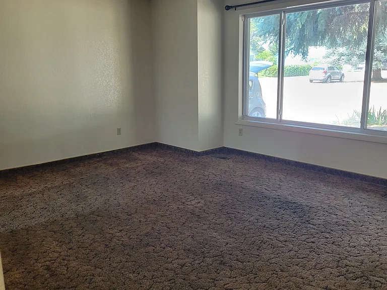 2425 Wildflower Dr — Photo 7