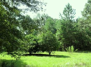 1146 Beverly Dr, Manning, SC 29102