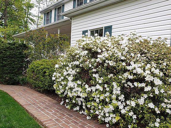 Brick Front Walk