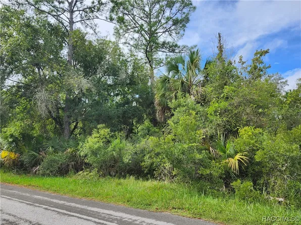 9614 N Dawnflower Ave, Crystal River, FL 34428