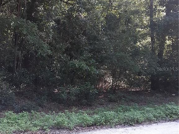 2nd image of SW Alabama Gln Lot 6