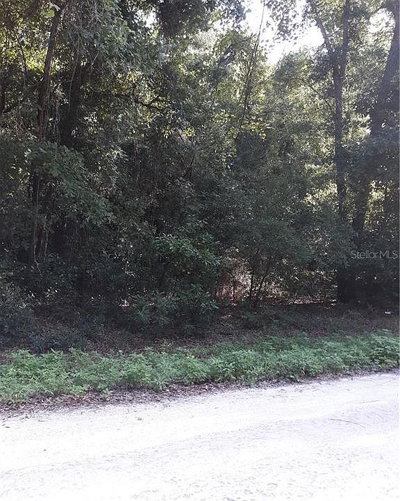 2nd image of SW Alabama Gln Lot 4