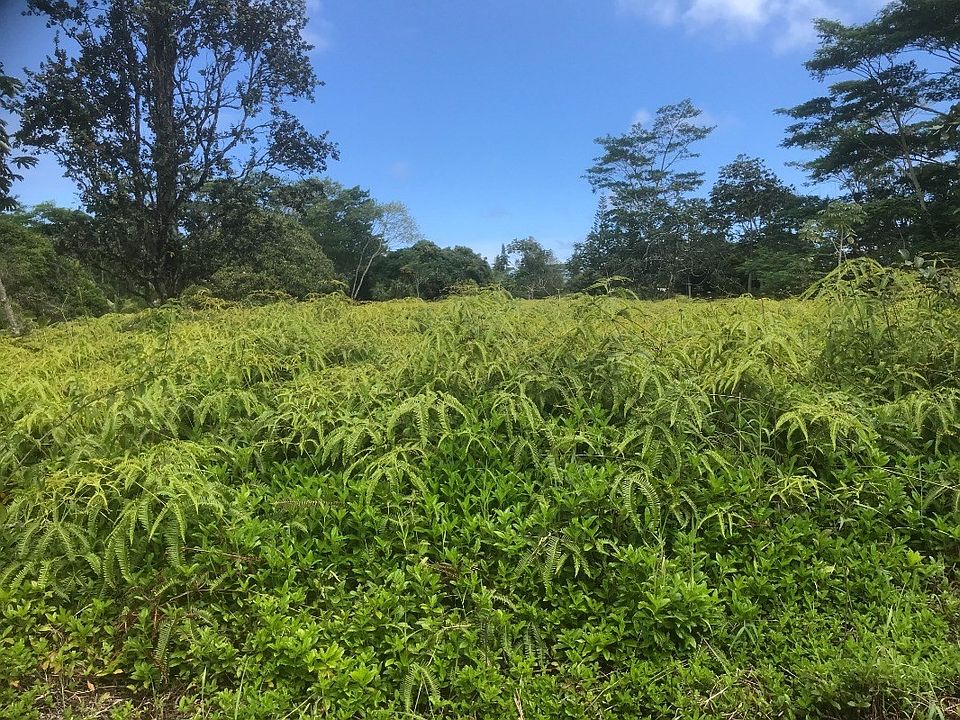 1st image of 12th Avenue Koali Lot 688