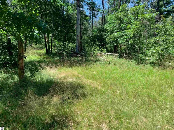 0 S M 37 Hwy, Wellston, MI 49689