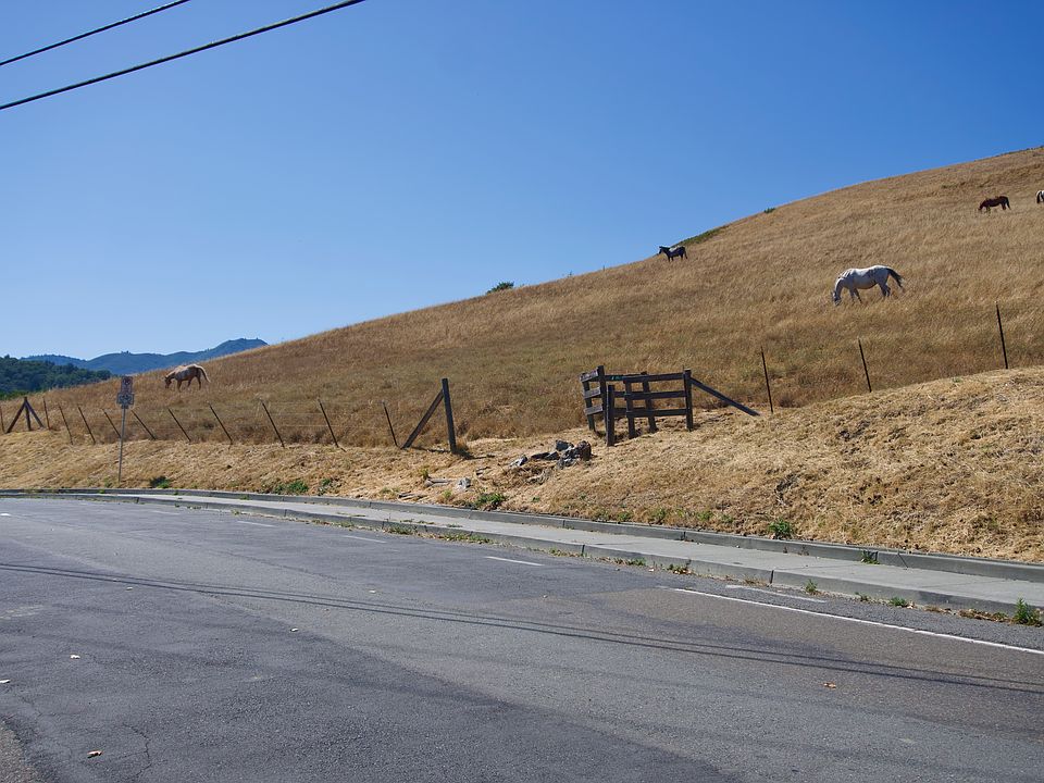 Horse Hill and Mt. Tam from Parking area