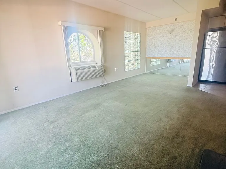 205 Mineola Blvd — Photo 7