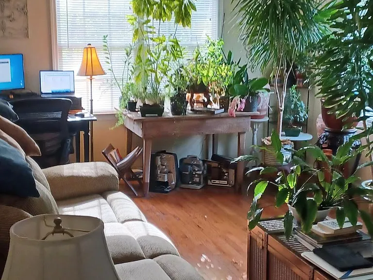 963 Springdale Dr — Photo 5