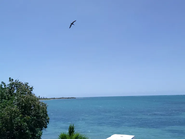 Paseo De Pesca Seafront — Photo 18