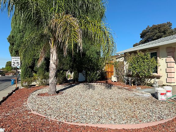 5th image of 3204 Dimaggio Way