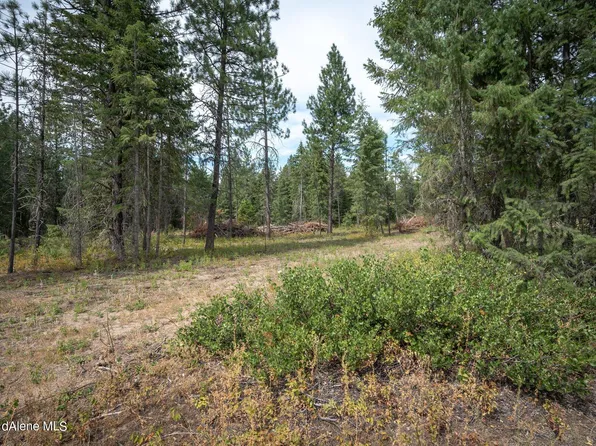 Nka Warbler Way, Spirit Lake, ID 83869