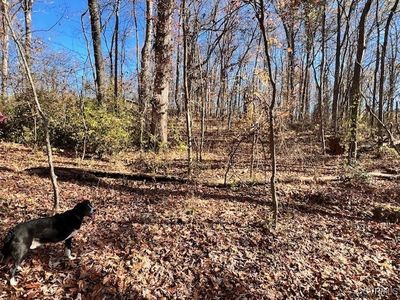 2799 River Rd #4, Goochland, VA, 23063