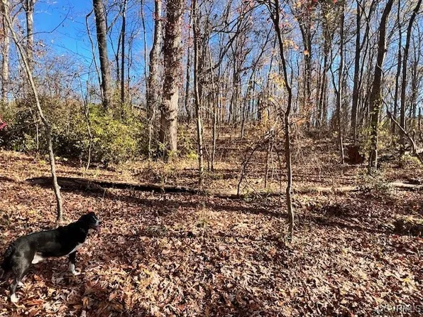 2799 River Rd #4, Goochland, VA 23063