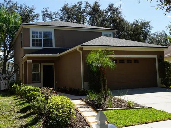 18133 Birdwater Dr, Tampa, FL 33647