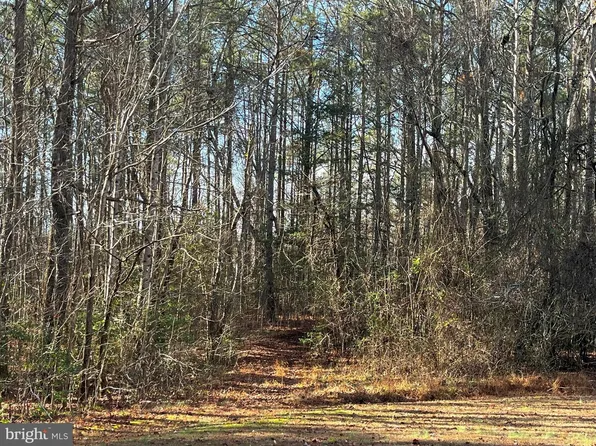 0B McKenney Dr, Woodford, VA 22580
