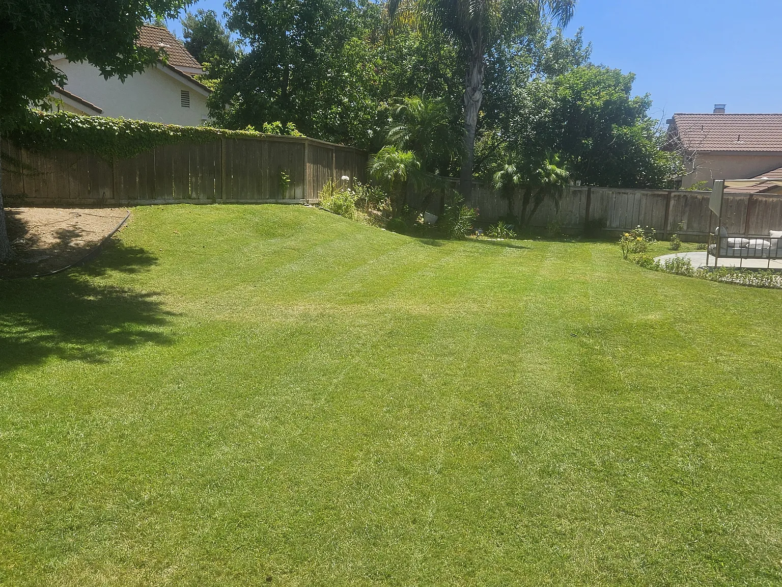 7252 Mimosa Dr — Photo 3