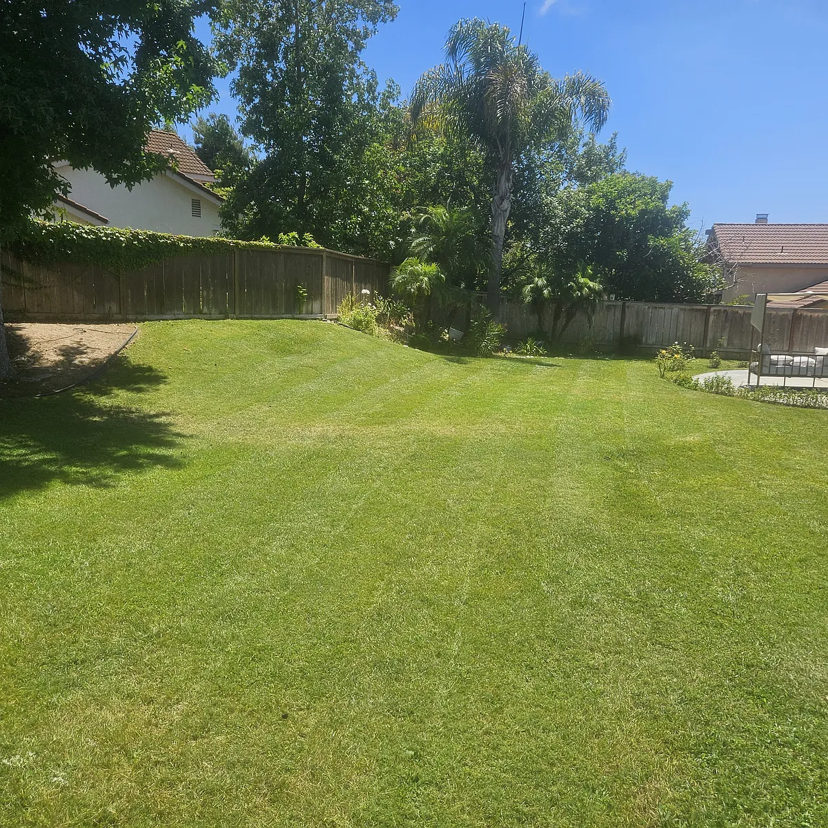 Back yard South view - Mimosa Dr