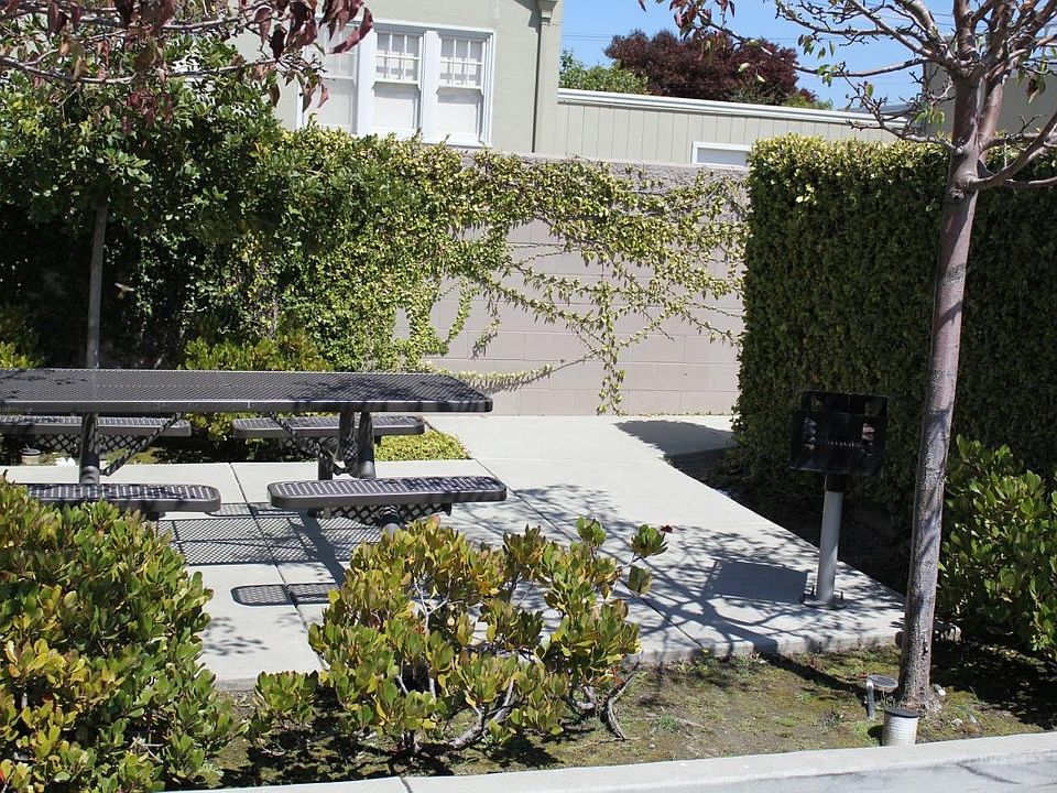 BBQ Area