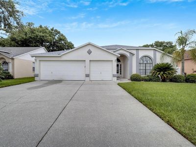 9805 La Rita Pl, Riverview, FL, 33569
