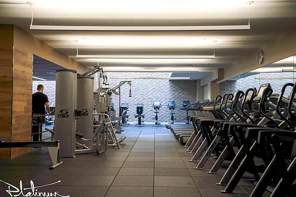 Rented by Platinum Properties | media 12