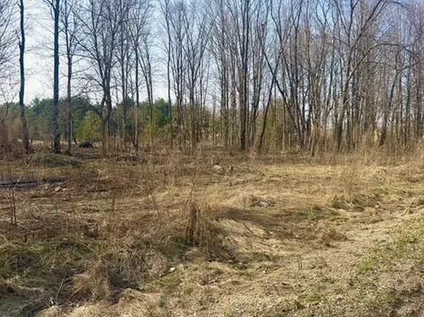 0 21st St, Hopkins, MI 49328