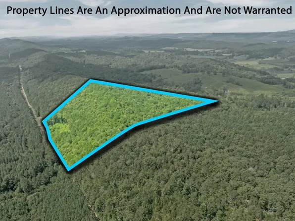 10 County Road 759, Valley Head, AL 35989