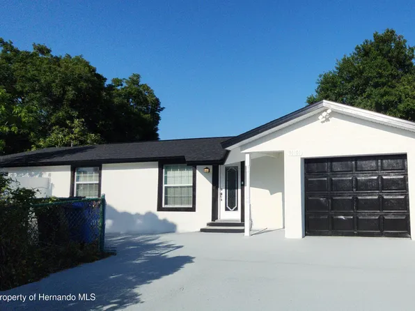 10101 Moores Mill Ct, Tampa, FL 33615