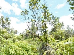 11 3317th #51, Volcano, HI 96785