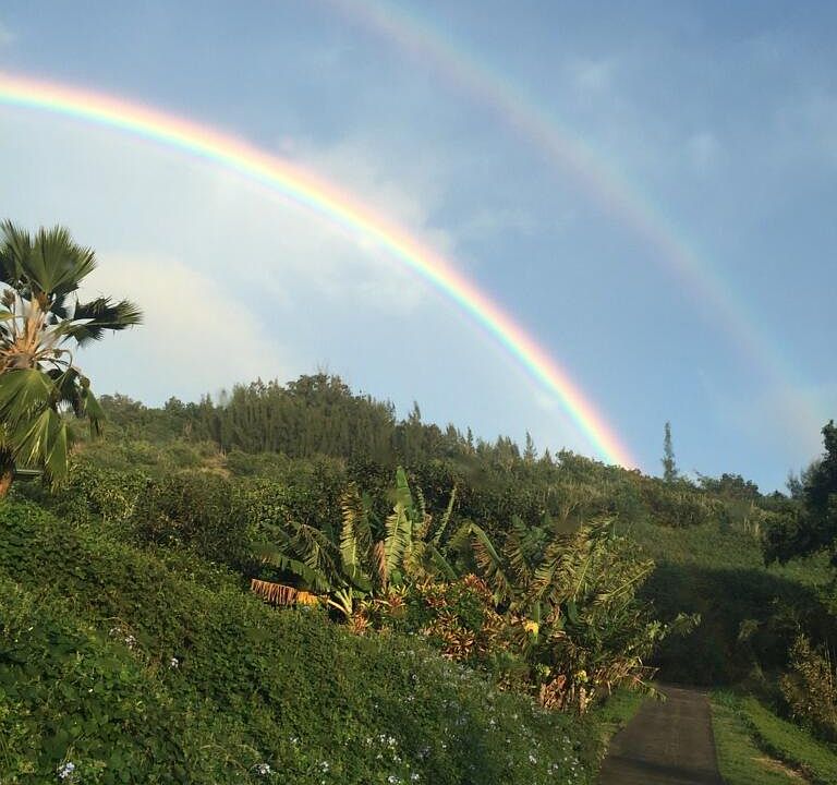 Our Private Driveway