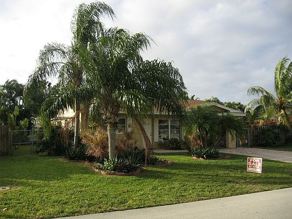 Tropical Landscape Front