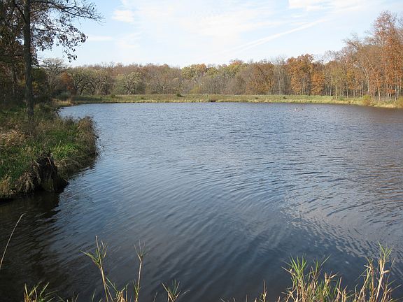 Center of pond