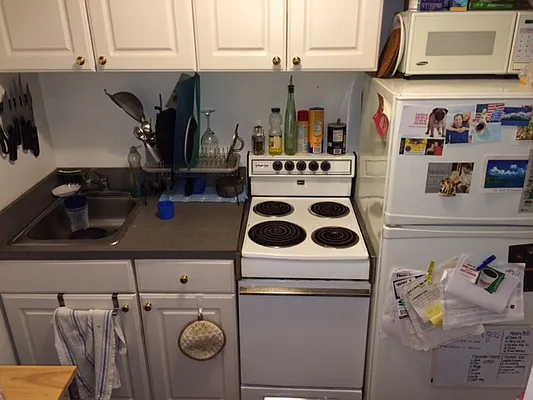 Rented by Eric Goodman Realty Corp | media 3