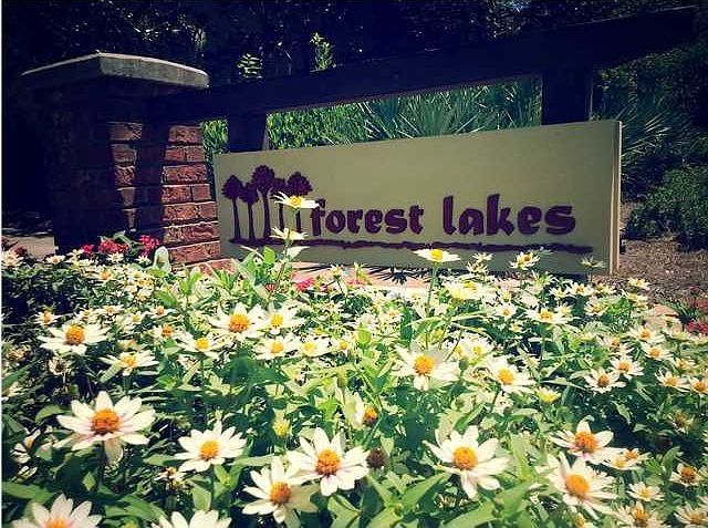 Highly Desired Forest Lakes