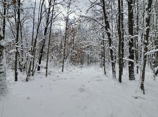 V/l N Centerline Rd, White Cloud, MI 49349