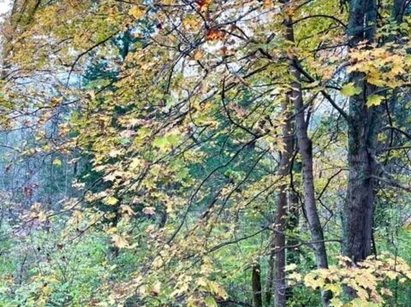 1800 Ginger Ridge Rd, Manchester, OH 45144