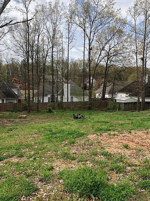 1st image of Lot 15 Sweetgum