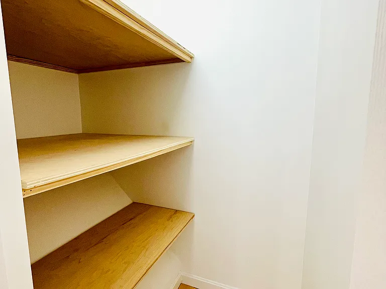 Large built-in storage closet with deep shelves