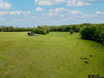7036 Highway 67, Cookville, TX, 75558
