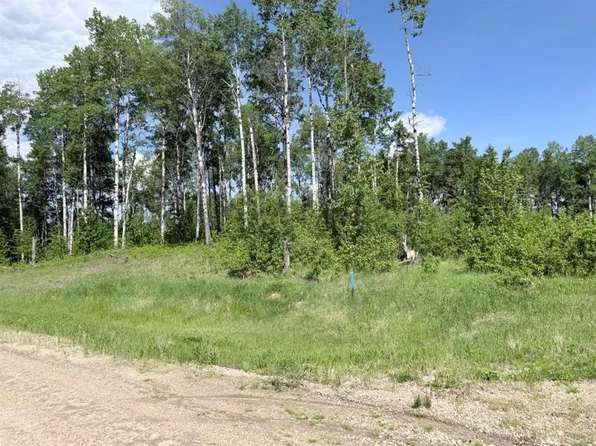 6 Elk Ridge Ests, Woodlands County, AB T7S 1N9