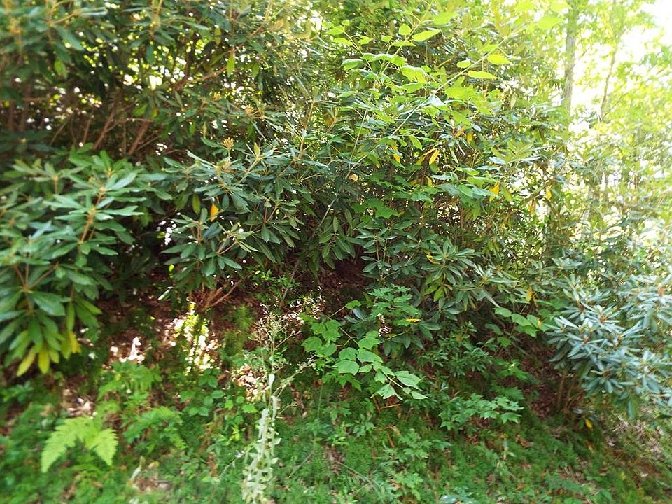 1st image of 5 Dove View Rd Lot 5