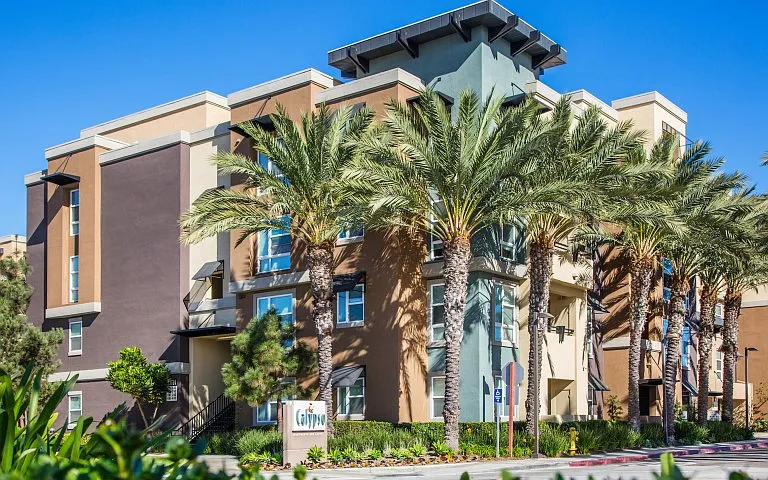 Calypso Apartments and Lofts — Photo 45