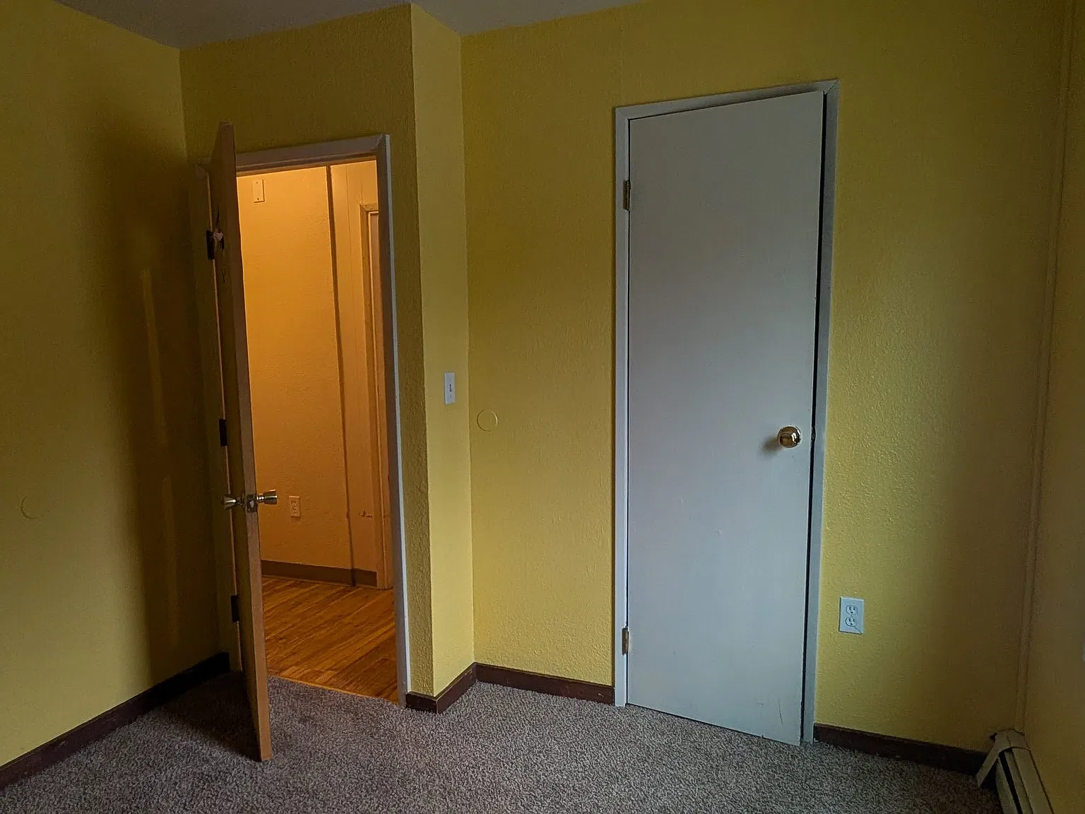 2 bed, 459 sqft, $1,250 — Photo 4