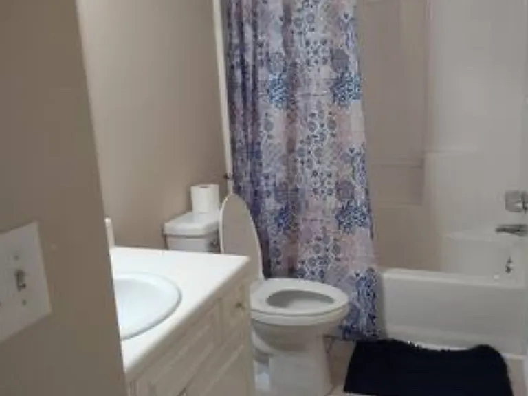 4900 Spanish Oak Rd — Photo 2