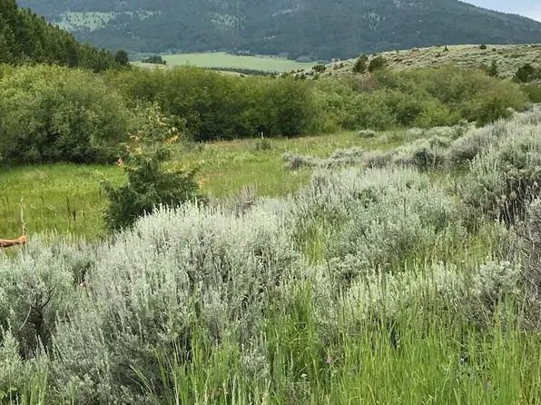 40 Mike Day Dr, White Sulphur Springs, MT 59645