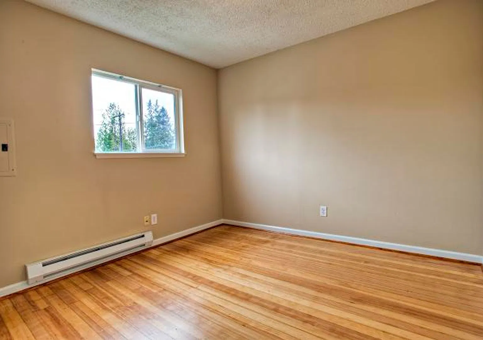Top Floor 2bed/1bath Apartment in Convenient Columbia City Location! — Photo 4