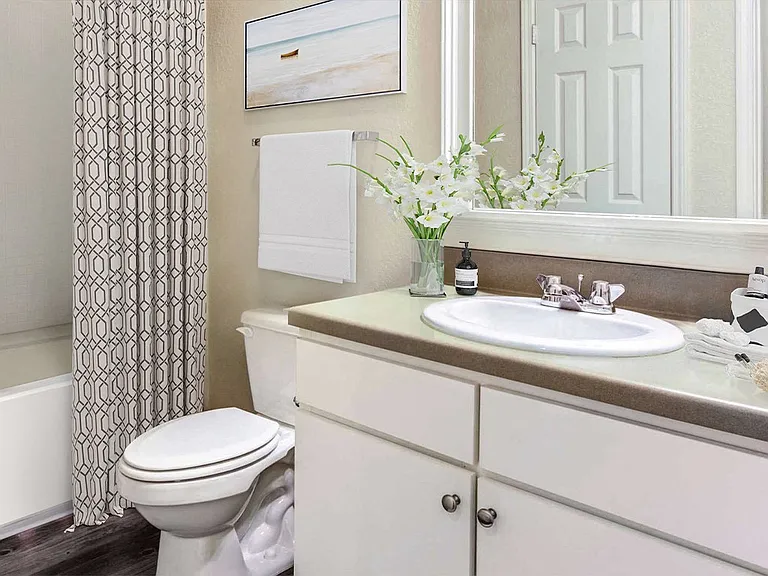 Carolina Point Apartments — Photo 5
