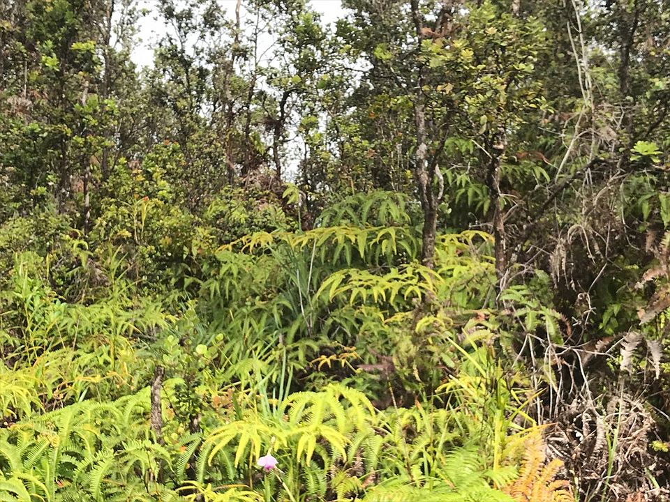 1st image of 11-3326 Anuhea St Lot 12