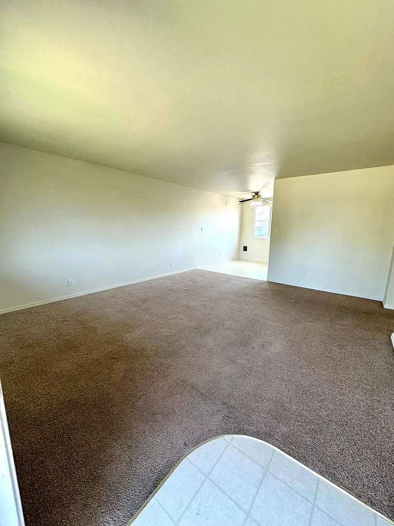 L1618 — Photo 3