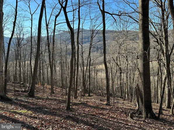 12 Walnut Bottom Hideaway, Moorefield, WV 26836