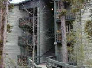 2300 Lodgepole St #303C, Silverthorne, CO 80498