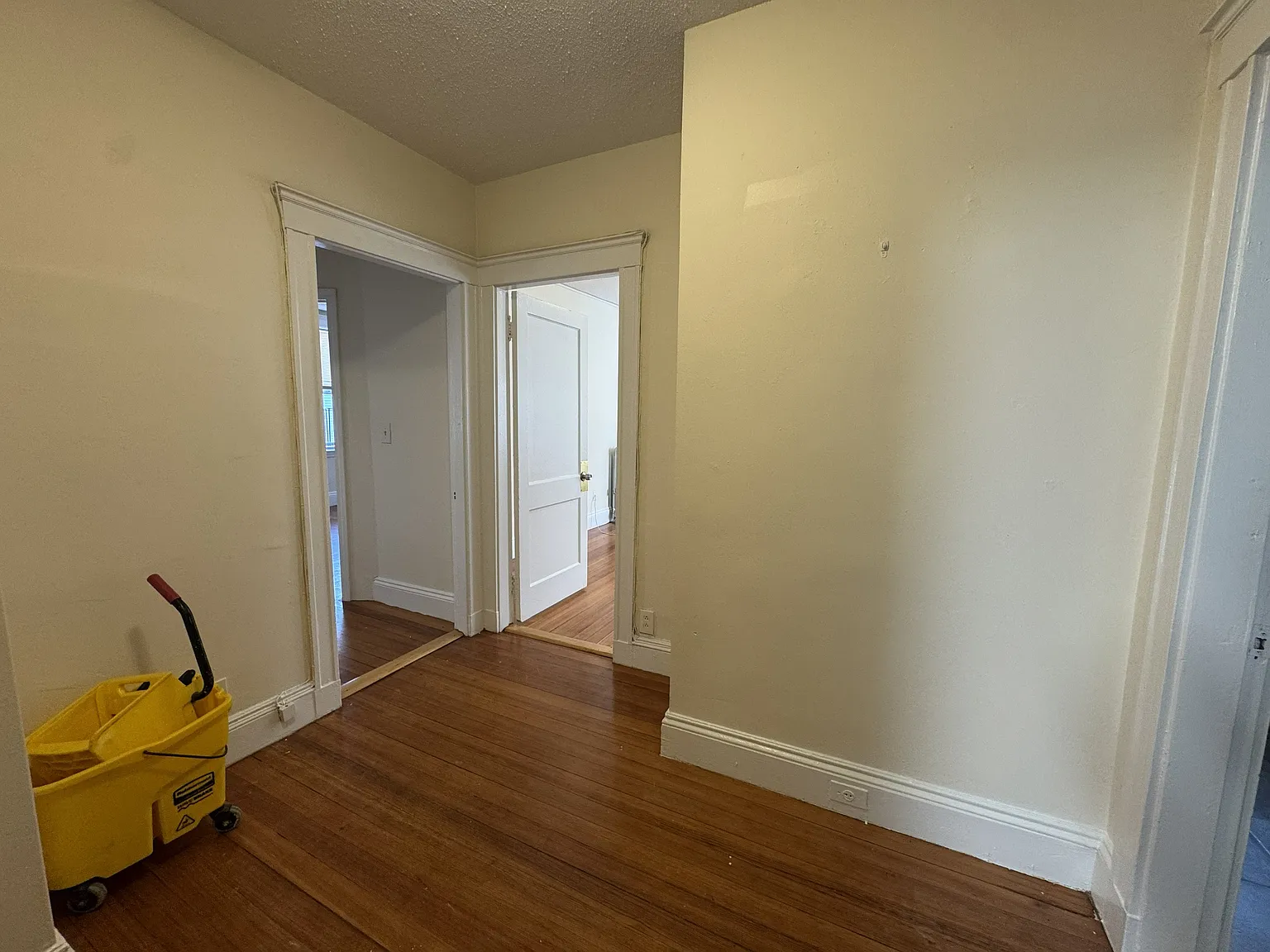 1 bed, $2,350 — Photo 4
